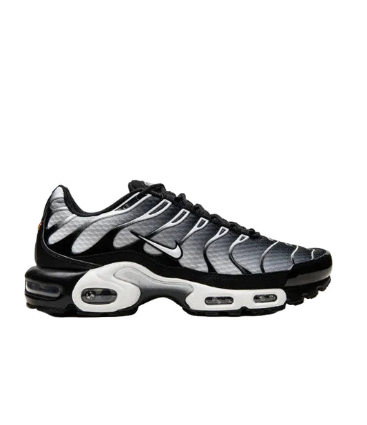 Nike Air Max Plus TN - Black & Silver Gradient